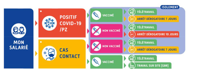 Schémas "AMELI" salariés cas contact/positif COVID - parents - activité partielle/arrêt de travail dérogatoire