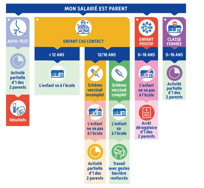 Schémas "AMELI" salariés cas contact/positif COVID - parents - activité partielle/arrêt de travail dérogatoire