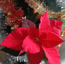 Meilleurs voeux pour cette année 2024! Meilleurs voeux pour cette année 2024!