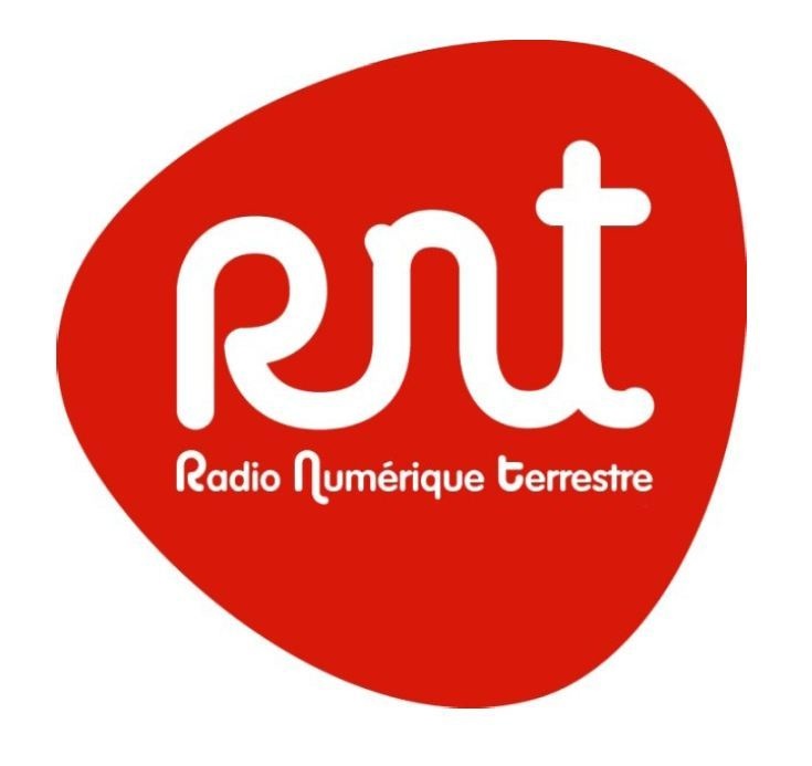 RNT 2013 : petit guide pratique à destination des éditeurs