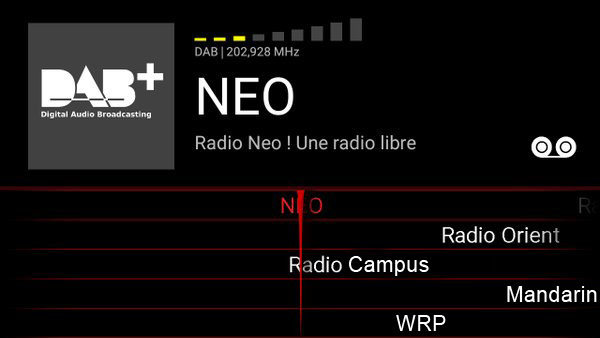 Radio Numerique Terrestre : La France prise en excès de lenteur