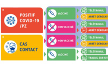 Schémas "AMELI" salariés cas contact/positif COVID - parents - activité partielle/arrêt de travail dérogatoire